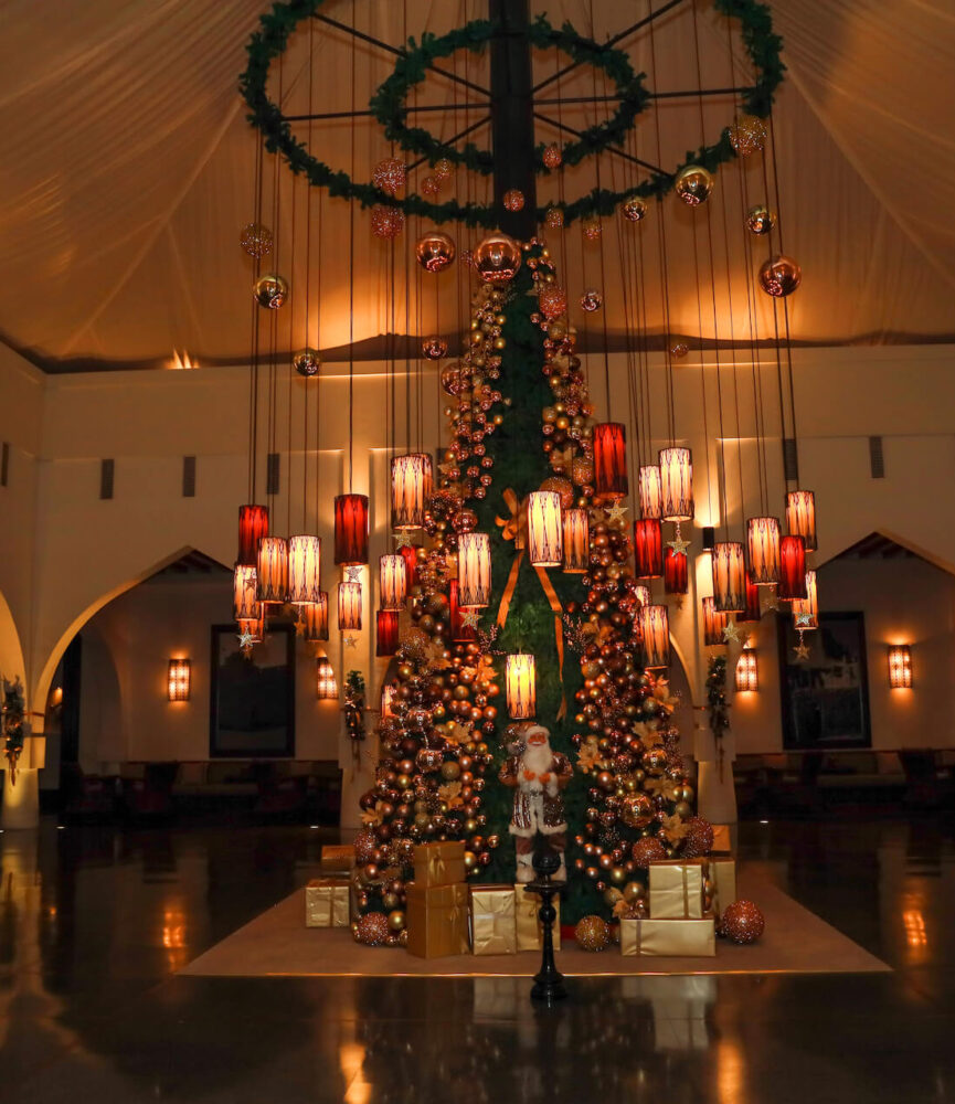 Christmas Tree Lighting