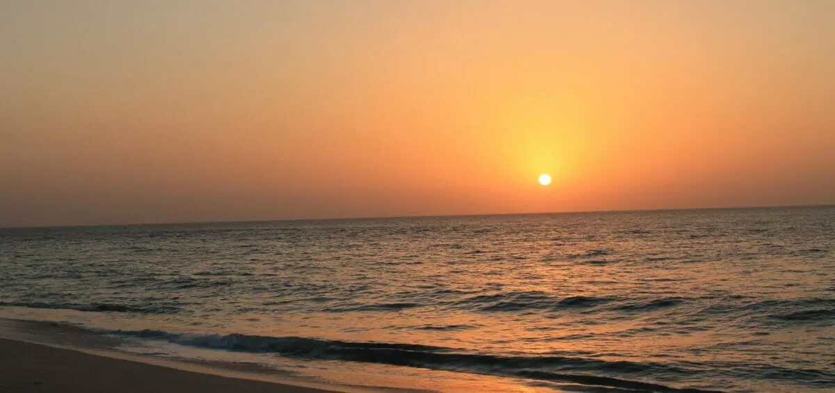 Unsplash Vivek Lad Scaled 1